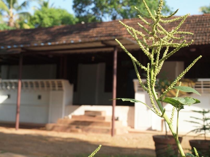 Hôtel Chedi Spring Valley à Athirappilly Extérieur photo